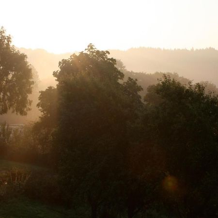 Eifel Rebeige Gerolstein Lägenhet Kopp Exteriör bild