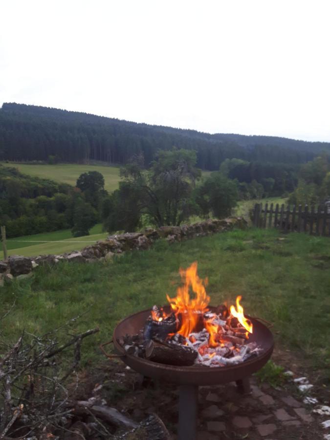 Eifel Rebeige Gerolstein Lägenhet Kopp Exteriör bild