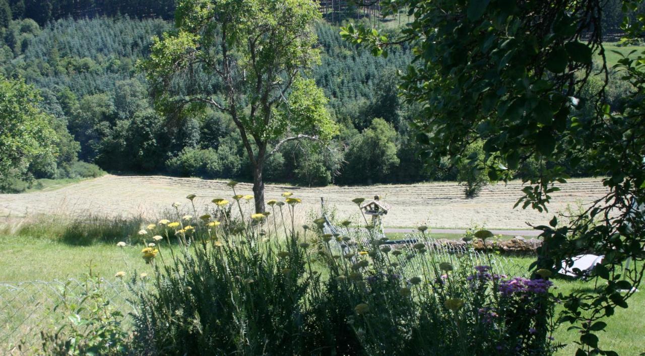 Eifel Rebeige Gerolstein Lägenhet Kopp Exteriör bild