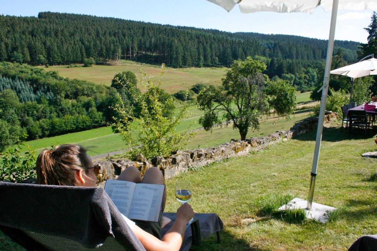 Eifel Rebeige Gerolstein Lägenhet Kopp Exteriör bild
