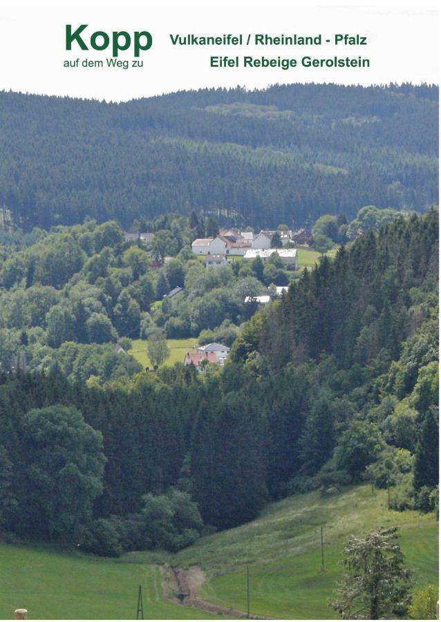 Eifel Rebeige Gerolstein Lägenhet Kopp Exteriör bild