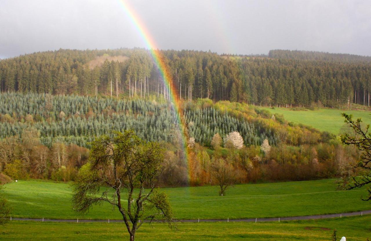 Eifel Rebeige Gerolstein Lägenhet Kopp Exteriör bild